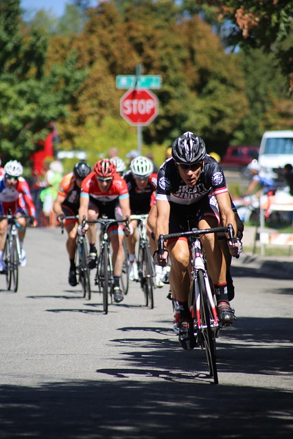 教练组与球 教练组与球