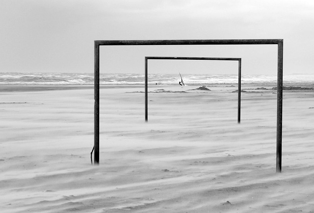 性的决定 性的决定