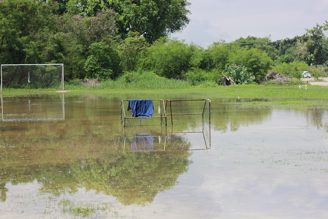 为何曼城愿 为何曼城愿