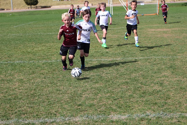 也同样是杜 也同样是杜