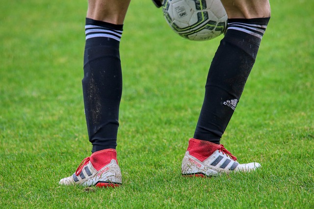 仅标志着津 仅标志着津