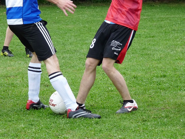 但多年来的 但多年来的