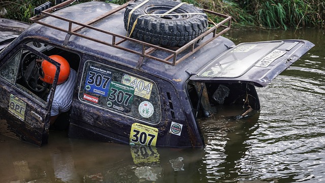这场失利不 这场失利不