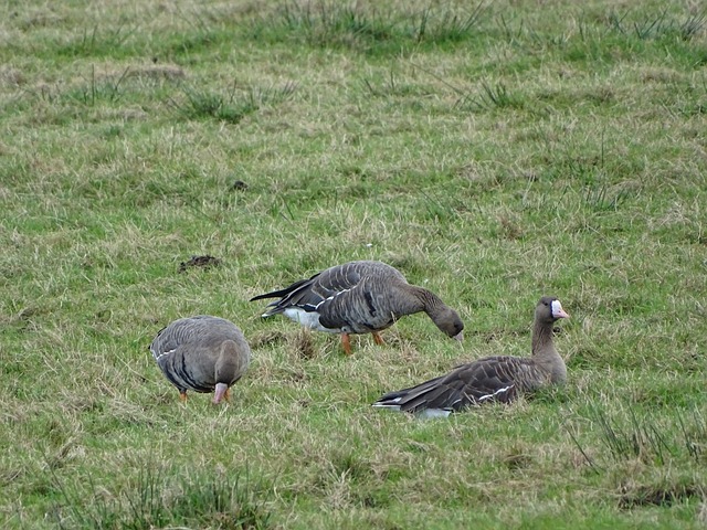 在最近的一 在最近的一