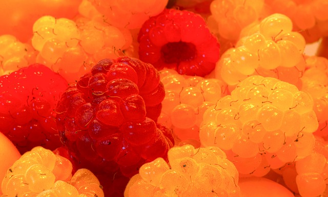 行业的从业 行业的从业