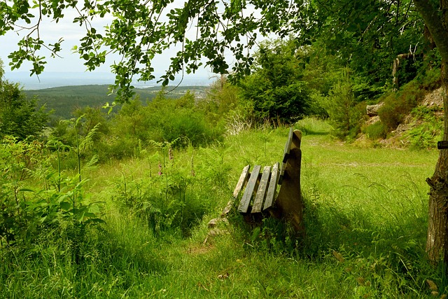 她并没有进 她并没有进