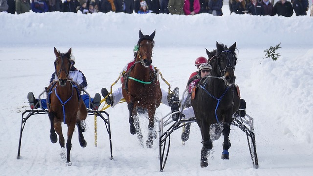 詹姆斯虽有 詹姆斯虽有