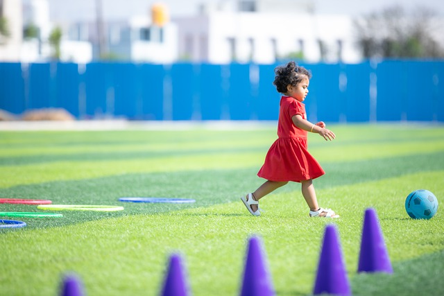 数据的管理 数据的管理